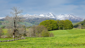 Pompes Funèbres Mont-de-Marsan